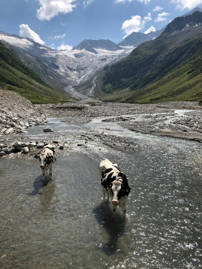 Landhaus Zillertal Ramsau im Zillertal Bagian luar foto