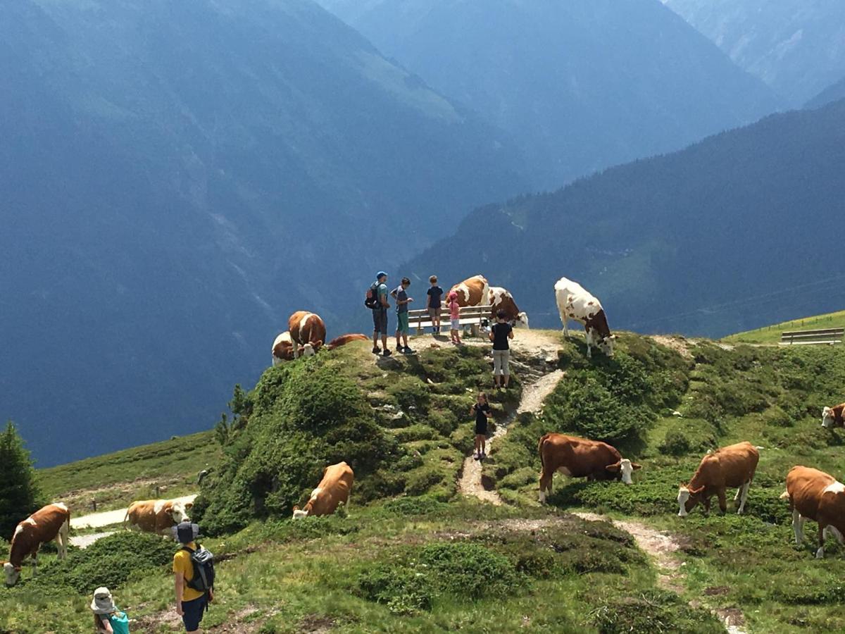 Landhaus Zillertal Ramsau im Zillertal Bagian luar foto