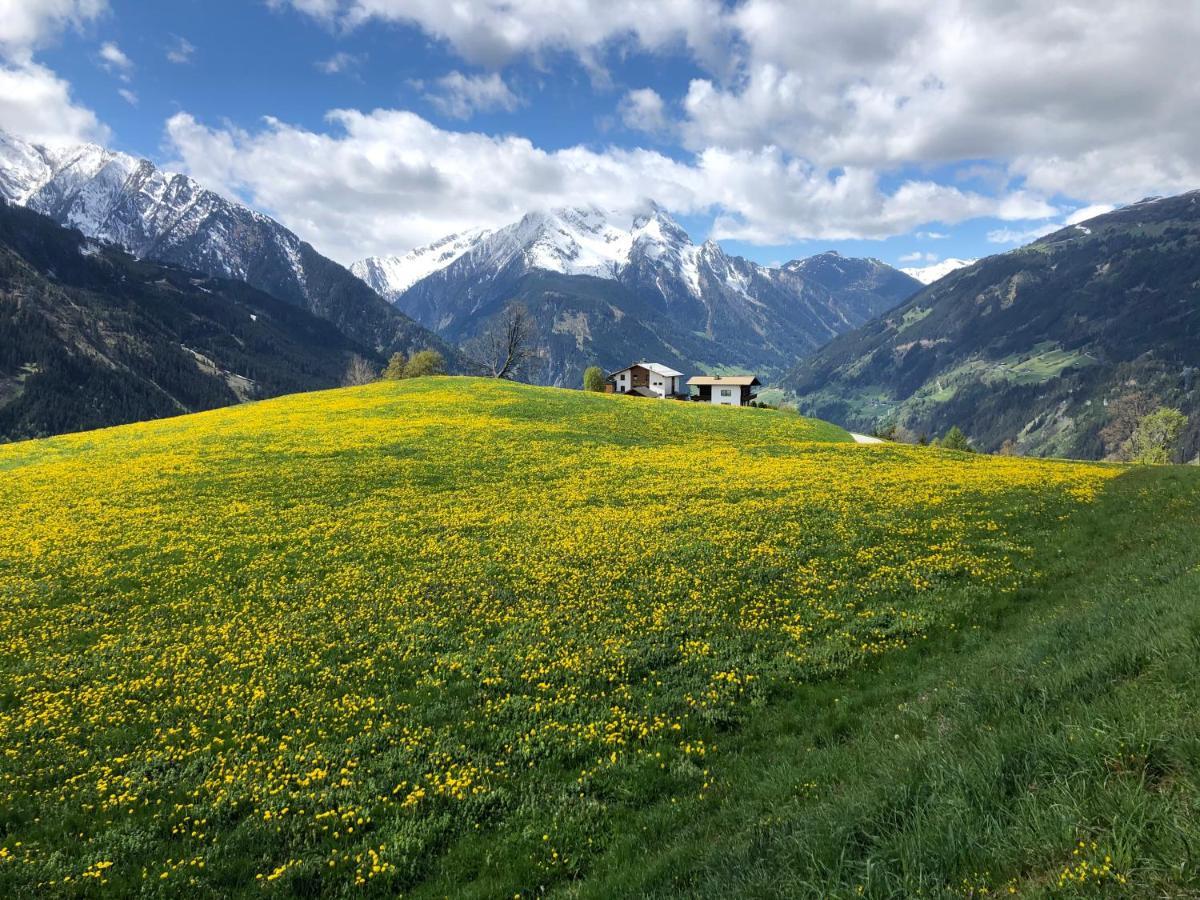 Landhaus Zillertal Ramsau im Zillertal Bagian luar foto