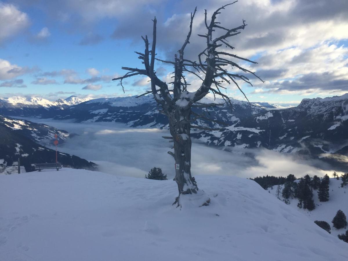 Landhaus Zillertal Ramsau im Zillertal Bagian luar foto